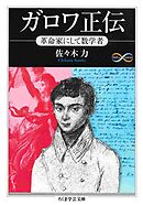 ガロワ正伝　――革命家にして数学者