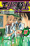 エリアの騎士　愛蔵版　17