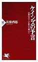 ケインズの予言　幻想のグローバル資本主義(下）