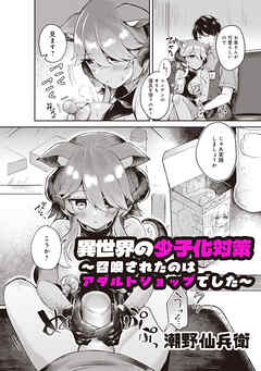 異世界の少子化対策　～召喚されたのはアダルトショップでした～