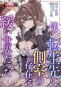 僕の転生先は側室の存在に緩い世界だった３