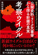 考察ウイグル　：公開資料・リーク文書等から探る新疆の真実