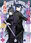 女神に悪役令嬢にされたので代理復讐していたら、公爵家が嫁にしようとしてきます２