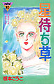 星待ち草　シリーズ結婚（３）