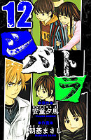 シバトラ　愛蔵版　12