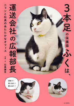 3本足の保護猫ふくは、運送会社の広報部長 ニャンと社員のあたたかなオフィス