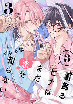 着飾るヒナはまだ恋を知らない 3【単話版】（3）