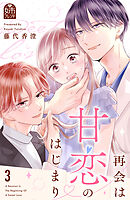 再会は甘恋のはじまり（３）