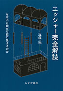 エッシャー完全解読――なぜ不可能が可能に見えるのか