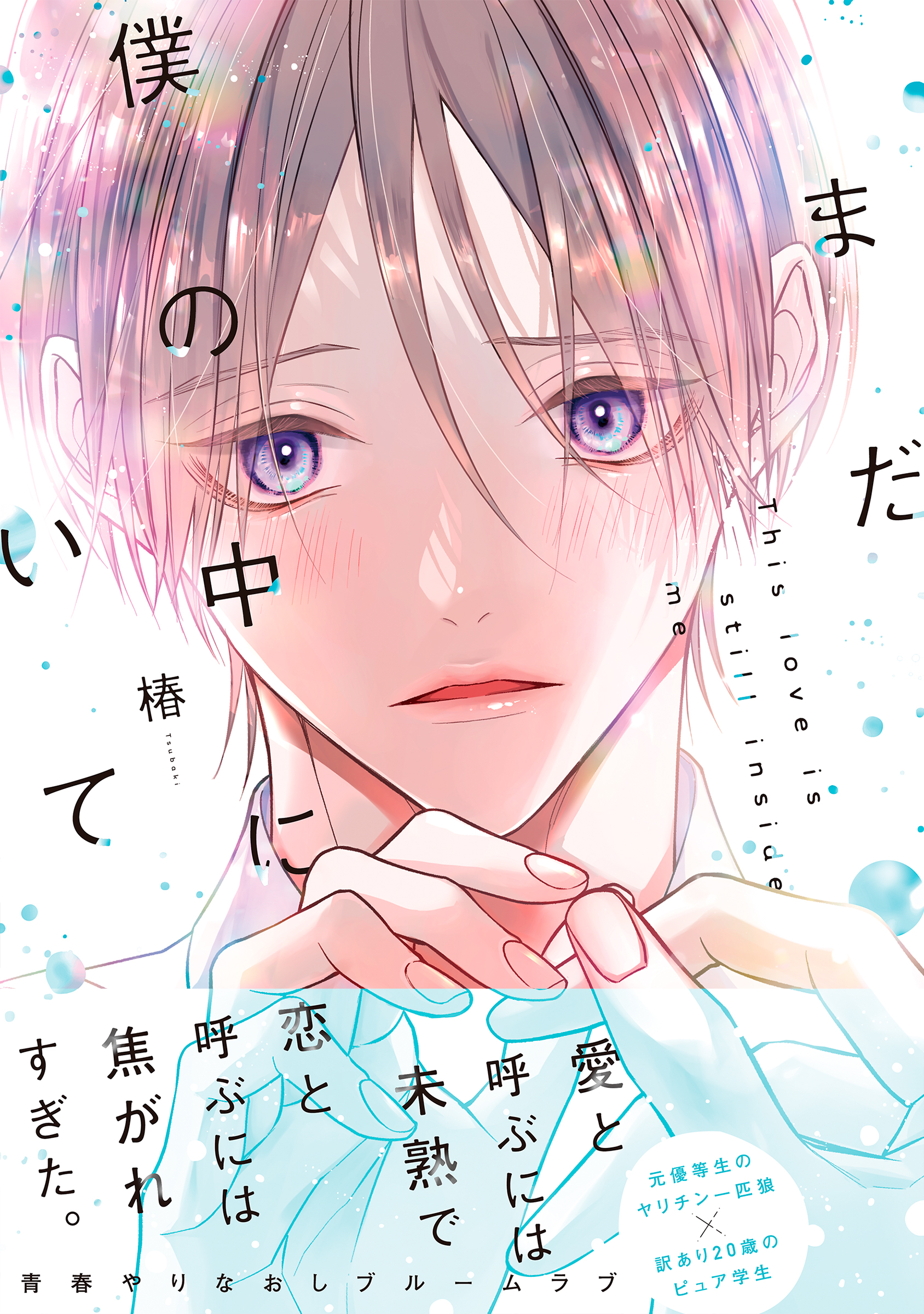 25 BL本まとめ売り　ボーイズラブコミックス　BOYS LOVE COMICS 商業BL漫画 37冊セット 25 BL本まとめ売り ボーイズラブコミックス