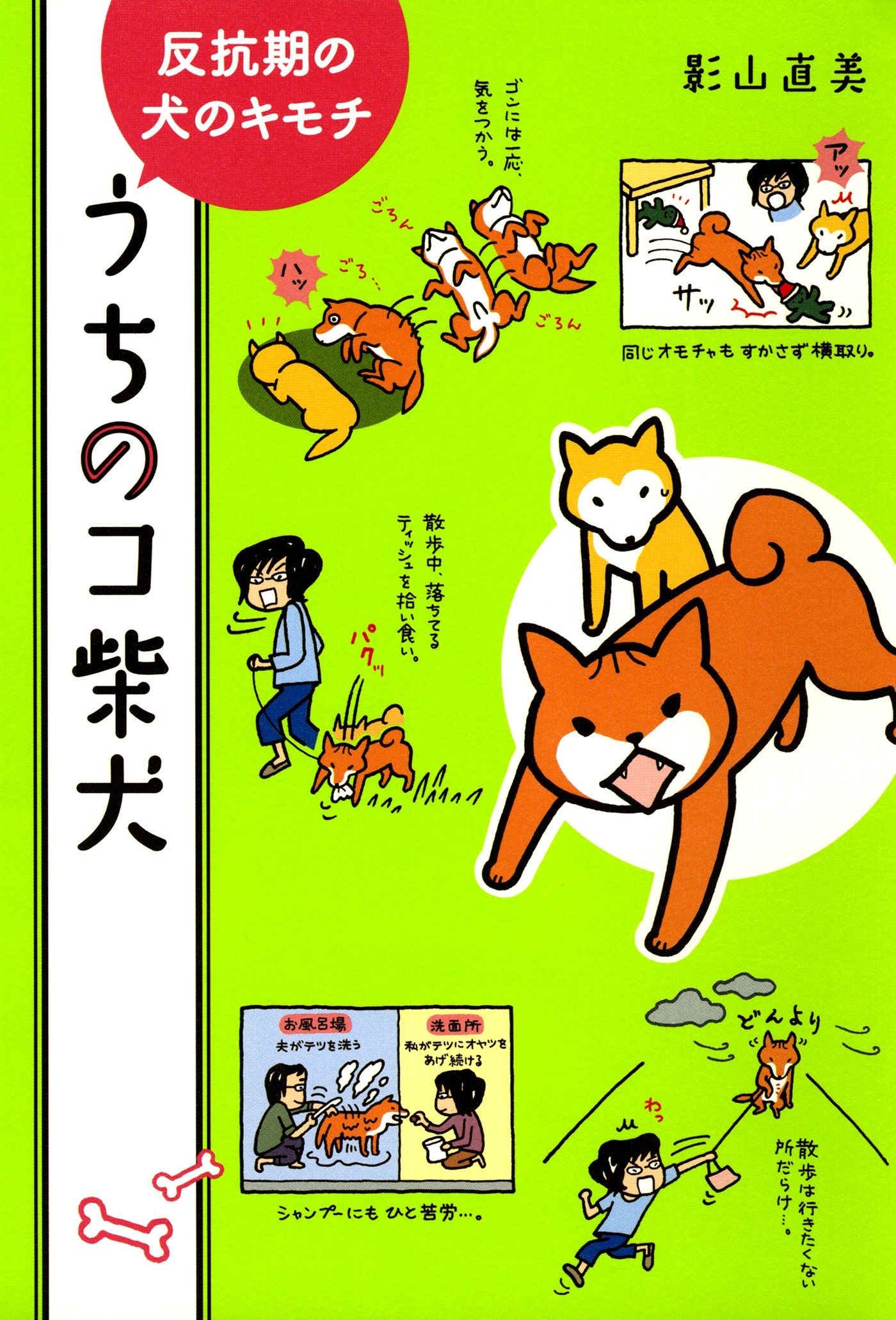 うちのコ柴犬 反抗期の犬のキモチ 最新刊 影山直美 漫画 無料試し読みなら 電子書籍ストア ブックライブ