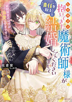 なりゆきで抱いてきた魔術師様が「責任を取る」と結婚してくださいまして（期間限定のはずが溺愛しすぎです！）