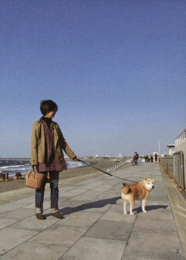 柴犬ゴンとテツののほほん毎日 影山直美 漫画 無料試し読みなら 電子書籍ストア ブックライブ 柴犬ゴンとテツののほほん毎日 影山直美 漫画 無料試し読みなら 電子書籍ストア ブックライブ