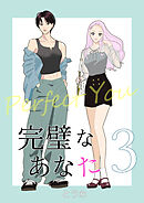 完璧なあなた 3