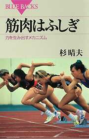 筋肉はふしぎ　力を生み出すメカニズム