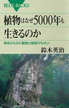 植物はなぜ5000年も生きるのか　寿命からみた動物と植物のちがい