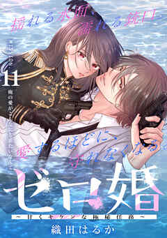 ゼロ婚　～甘くキケンな極秘任務～［ｃｏｍｉｃ　ｔｉｎｔ］　分冊版（１１）