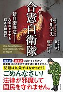 合憲自衛隊 - 新自衛隊法 九条のままでも戦える組織に -