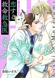 恋する救命救急医　ミッドナイト・フライト２【電子オリジナル】