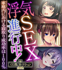 浮気SEX進行中！ ～家庭内における寝取り成功率は100％～【CG集コレクションBIG】