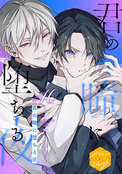 君の瞳に堕ちる夜　分冊版（１０）
