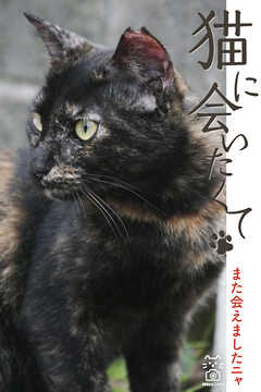 猫に会いたくて また会えましたニャ