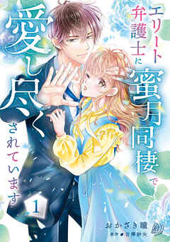 【期間限定　試し読み増量版】エリート弁護士に蜜月同棲で愛し尽くされています　1