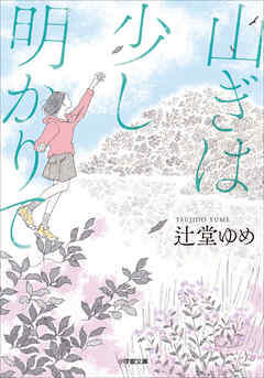 山ぎは少し明かりて