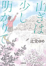 山ぎは少し明かりて