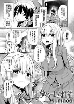 正夢ハーレム性活