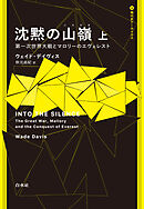 沈黙の山嶺：第一次世界大戦とマロリーのエヴェレスト　上