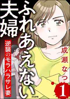 ふれあえない夫婦 逆襲のモラハラサレ妻　（1）