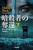 暗殺者の奪還 下