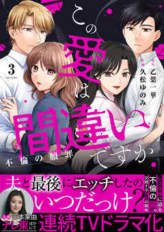 この愛は間違いですか～不倫の贖罪【電子限定単行本】3