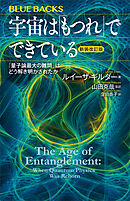 宇宙は「もつれ」でできている〈新装改訂版〉　「量子論最大の難問」はどう解き明かされたか