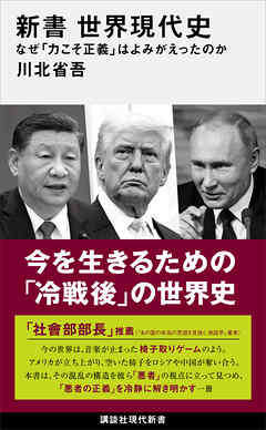新書　世界現代史　なぜ「力こそ正義」はよみがえったのか