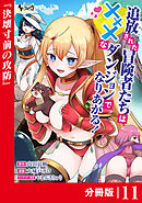 追放された冒険者たちはXXXなダンジョンでなりあがる！【分冊版】１１