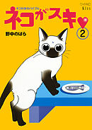 ネコがスキ（２）