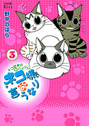 ネコ様の言うなり（３）