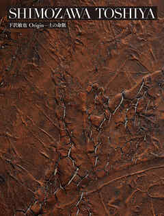 札幌美術展 下沢敏也 Origin―土の命脈 図録