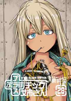 プラスチック姉さん 28巻