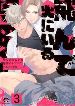 飛んで火にいる恩田くん（分冊版）　【第3話】