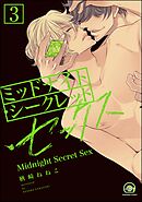 ミッドナイト・シークレット・セックス（分冊版）【シリーズ2】　【第3話】