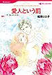ハーレクインコミックス セット　2026年 vol.73