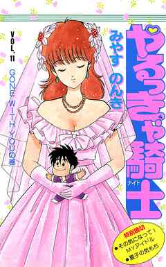 やるっきゃ騎士 11