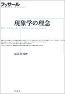 現象学の理念