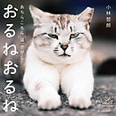 おるねおるね──あちらこちら猫さがし