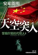 天空突入～警察庁契約代理人3～