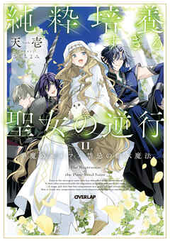 純粋培養すぎる聖女の逆行 II.半魔のエルフ×禁忌の継承魔法【電子書籍限定書き下ろしSS付き】