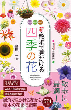 新・散歩で見かける四季の花